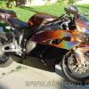 Prizmacoat Paint Kit Bike